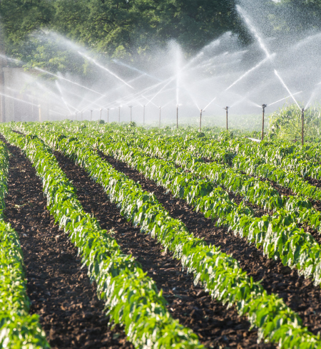 Irrigation system on green field